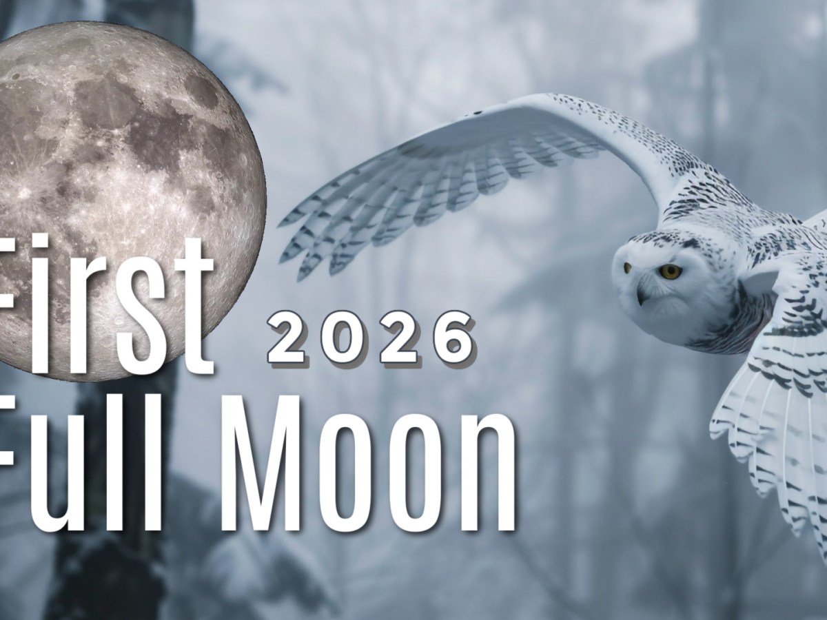 Cold / Wolf Moon | What it means |  A Full Moon in ♋Cancer January 3, 2026 ❄️| Lunar Forecast&nbsp;🌙